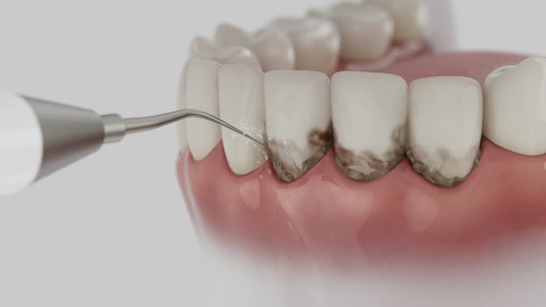 Reliable Dental contractor in Gibsonton, FL by Dentist Open Now